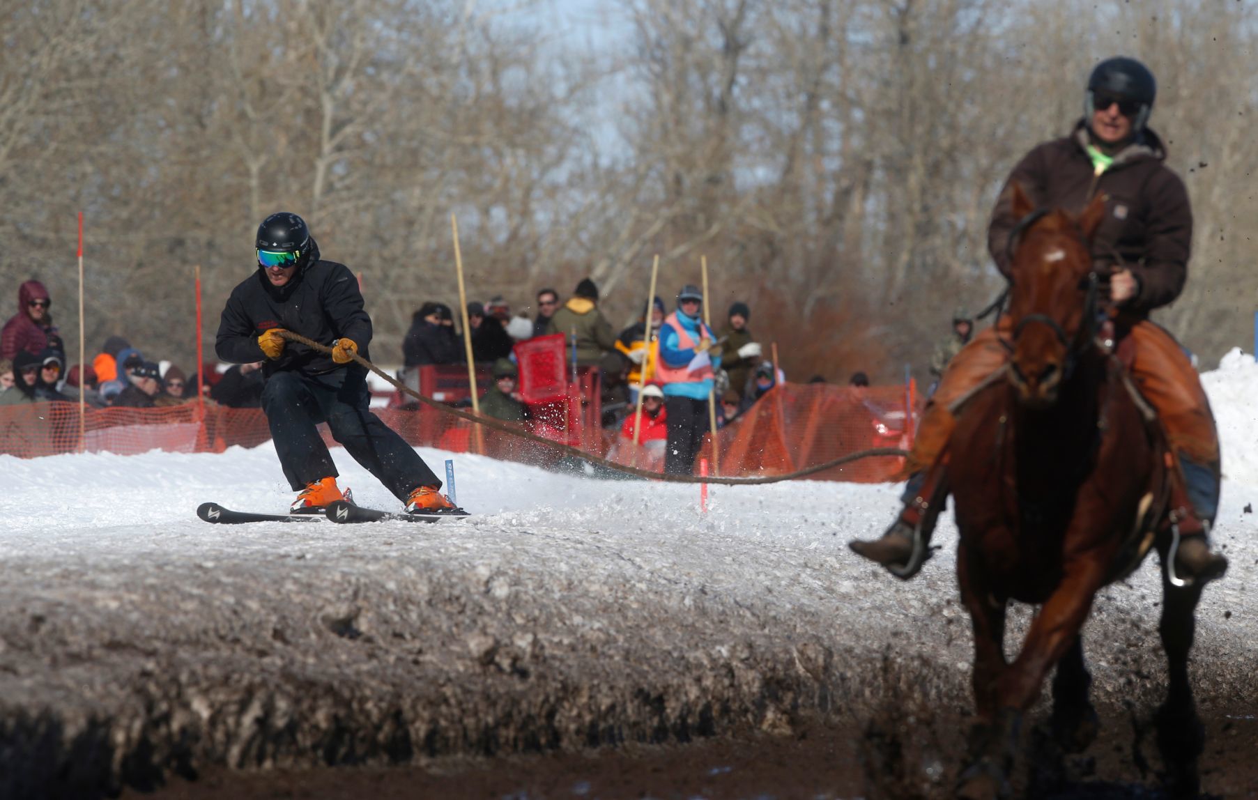 Ski-Joring Races 2018